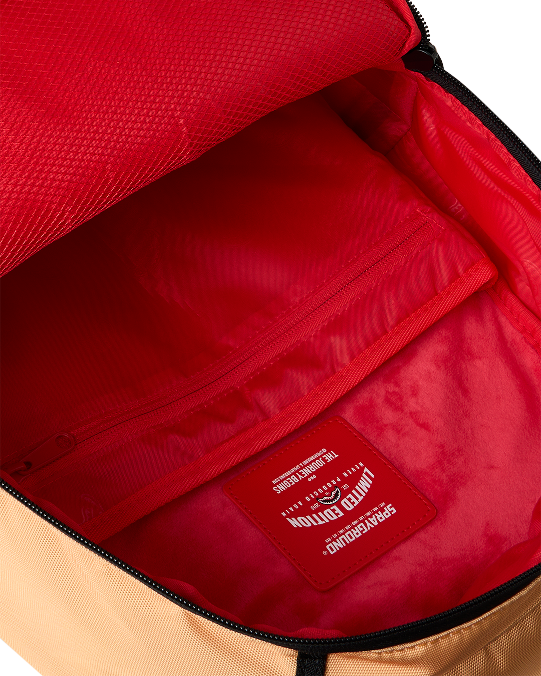 PEANUTS FRANKLIN SHARK CENTRAL BACKPACK - Image 10