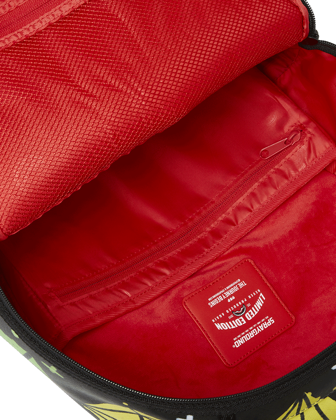 SKY FULL OF DREAMS DLXV BACKPACK - Image 8